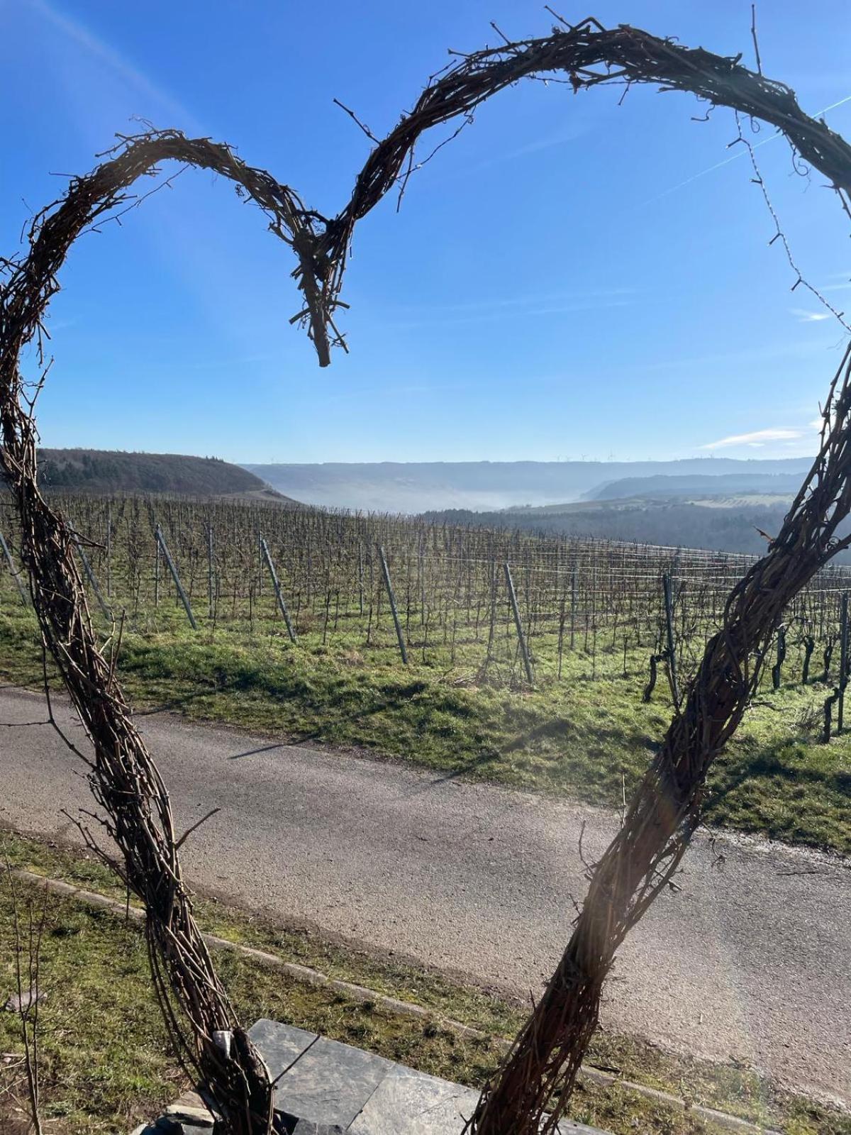 Fewo Waldblick - Urlaub Im Wein & Ferienort Bekond Luaran gambar